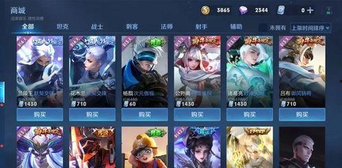 王昭新皮肤爆料视频播放,视觉盛宴,神秘英雄即将亮相 第2张 王昭新皮肤爆料视频播放,视觉盛宴,神秘英雄即将亮相 第2张