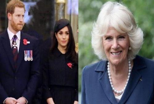 王室爆料卡米拉视频,卡米拉私密视频曝光，真相令人震惊  第2张