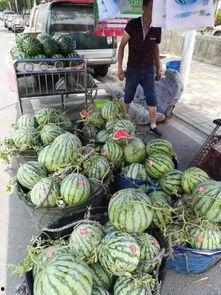 太原网红吃瓜事件,揭秘网络舆论的风暴与真相 第1张 太原网红吃瓜事件,揭秘网络舆论的风暴与真相 第1张